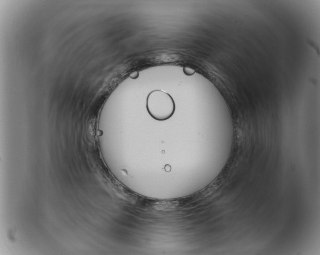 X0000103930373200809191130
