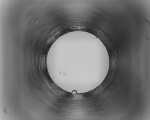 X0000103930376200809191130
