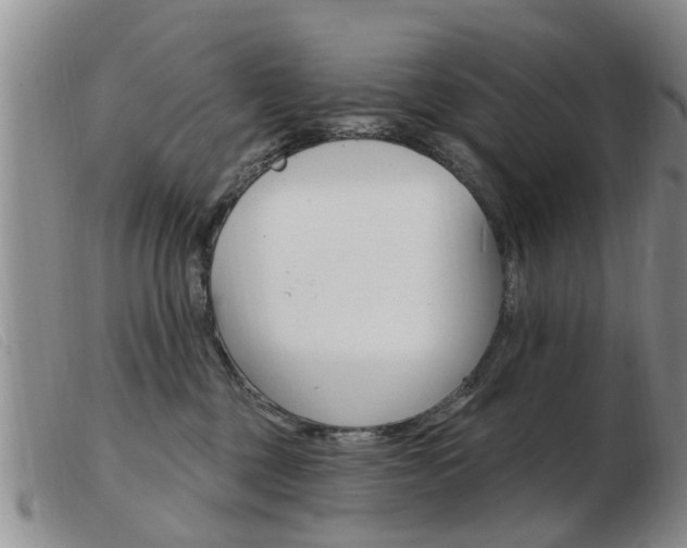 X0000103930377200809191130