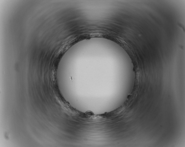 X0000103930379200809191130