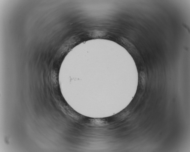 X0000103930380200809191130