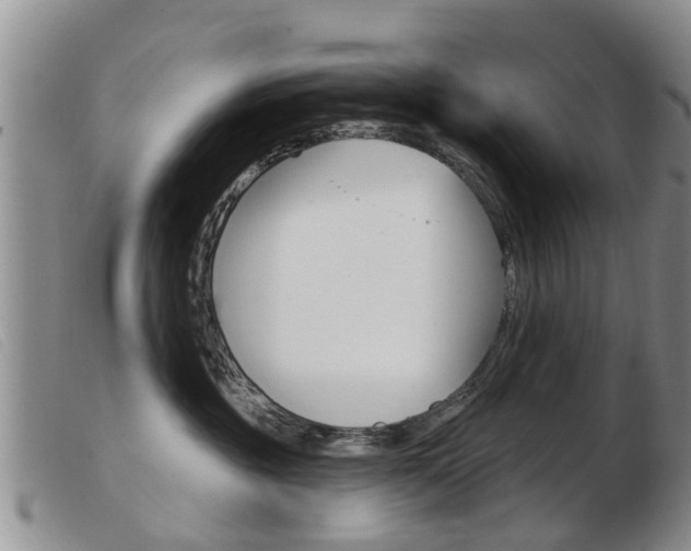 X0000103930381200809191130