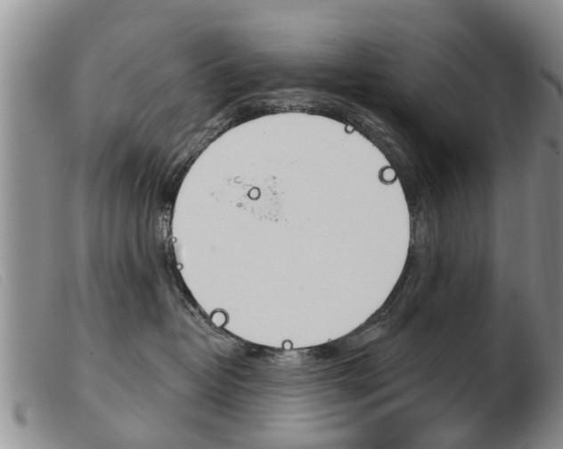 X0000103930382200809191130