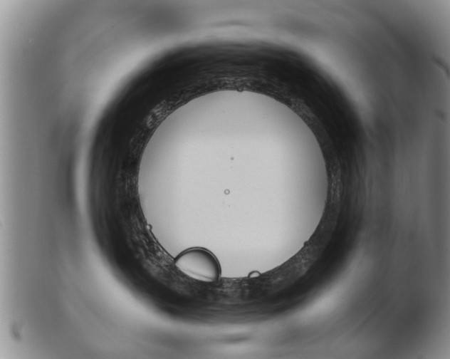 X0000103930383200809191130