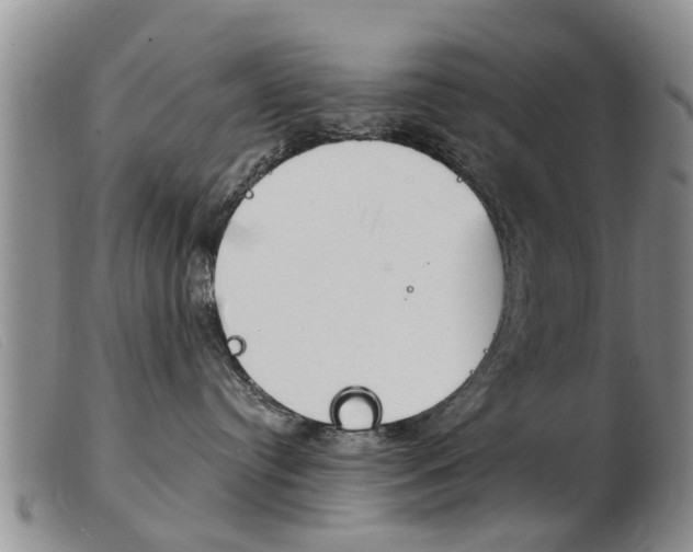 X0000103930384200809191130
