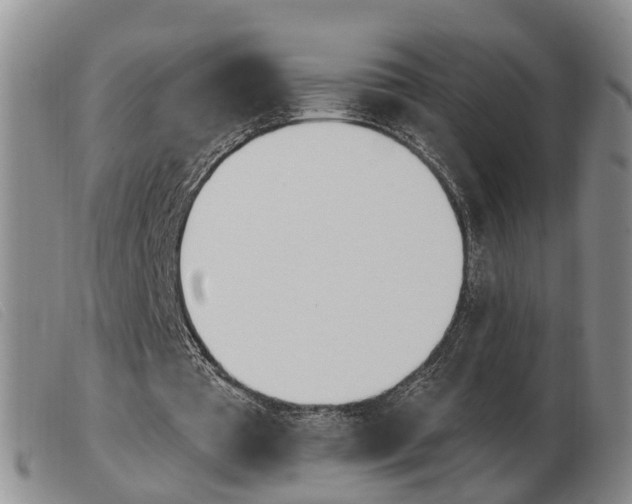 X0000103930385200809191129