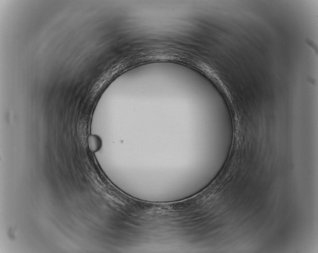 X0000103930386200809191129