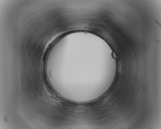 X0000103930388200809191129