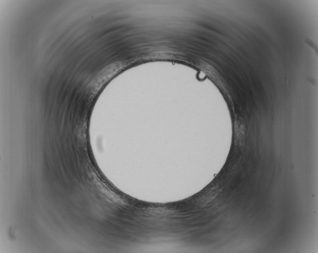 X0000103930389200809191129
