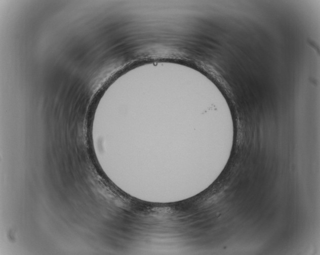 X0000103930391200809191129