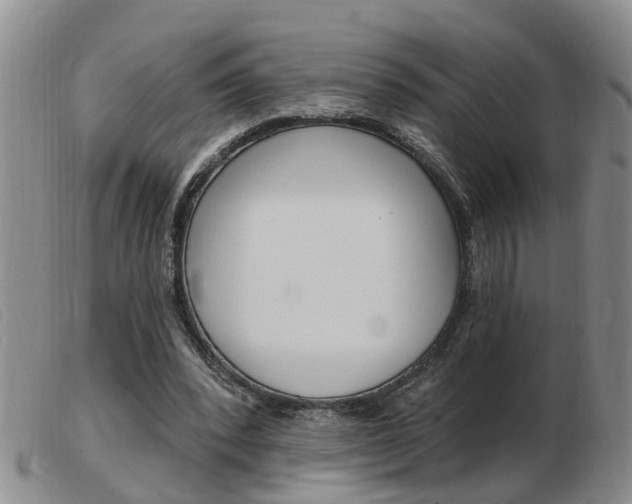 X0000103930392200809191129