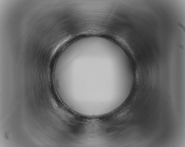 X0000103930396200809191129