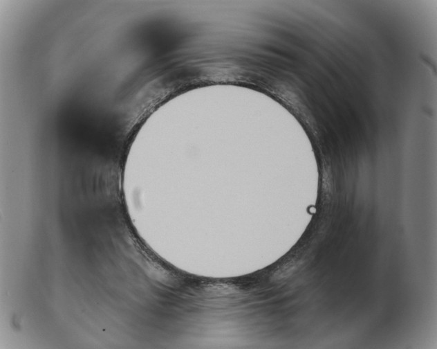 X0000103930397200809191129