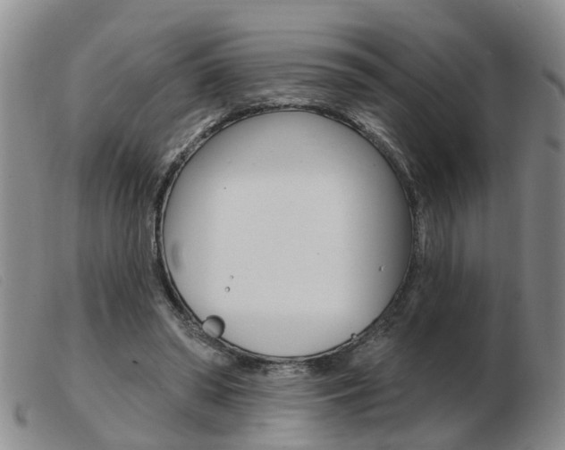 X0000103930398200809191129