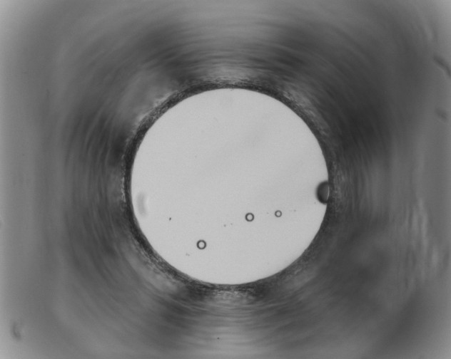 X0000103930399200809191129