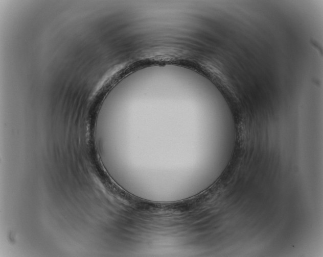 X0000103930400200809191129
