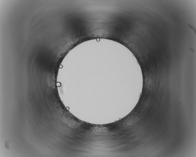 X0000103930403200809191129