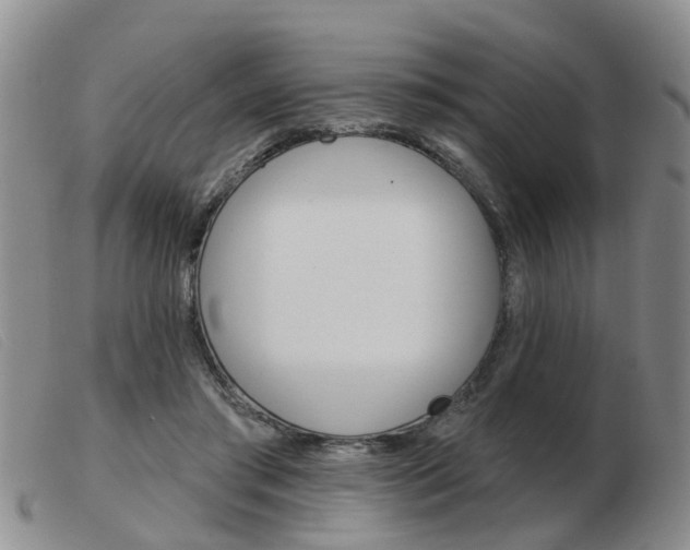 X0000103930405200809191129