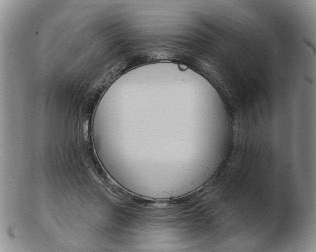 X0000103930406200809191129