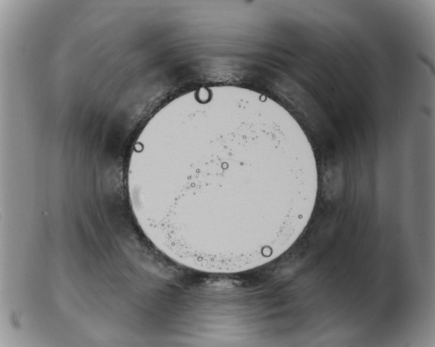 X0000103930407200809191129
