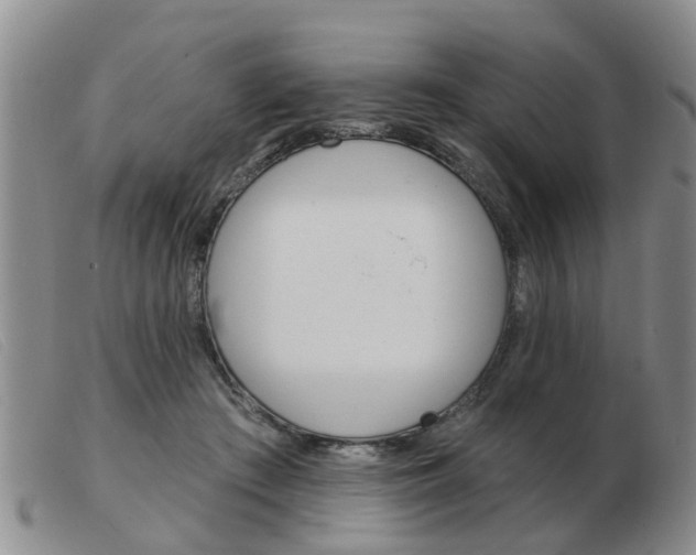 X0000103930409200809191129