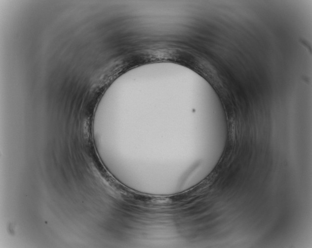 X0000103930410200809191129