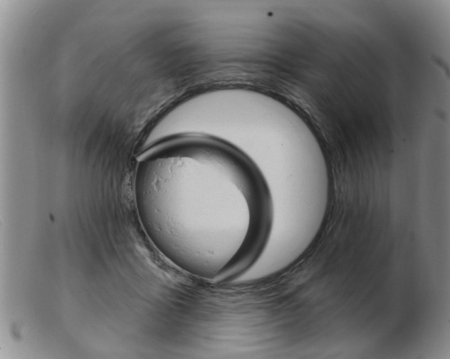 X0000103930411200809191129