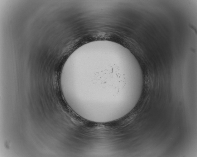 X0000103930416200809191129