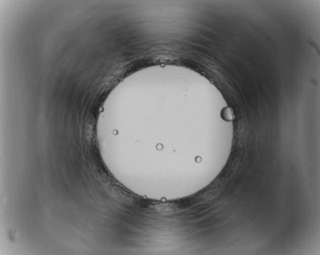 X0000103930417200809191129