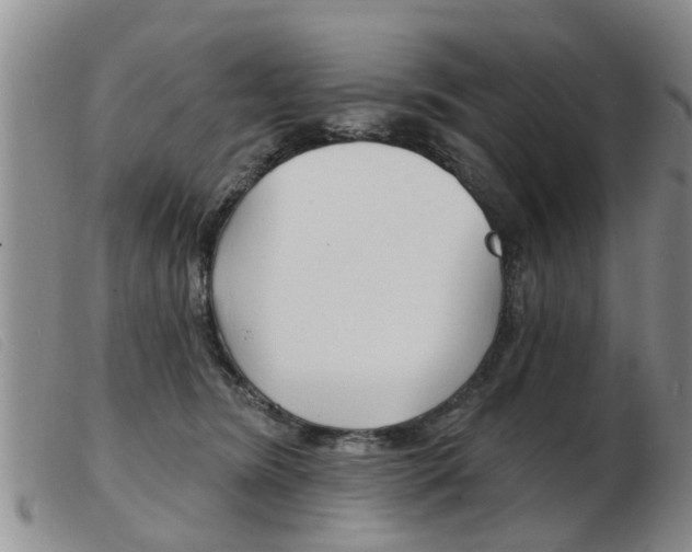 X0000103930420200809191129