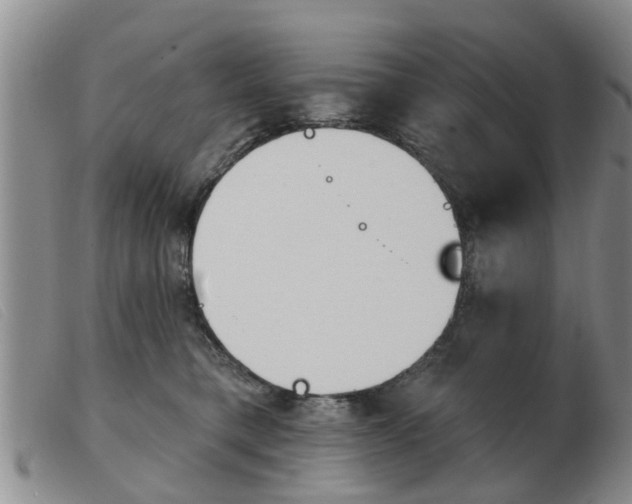 X0000103930421200809191129