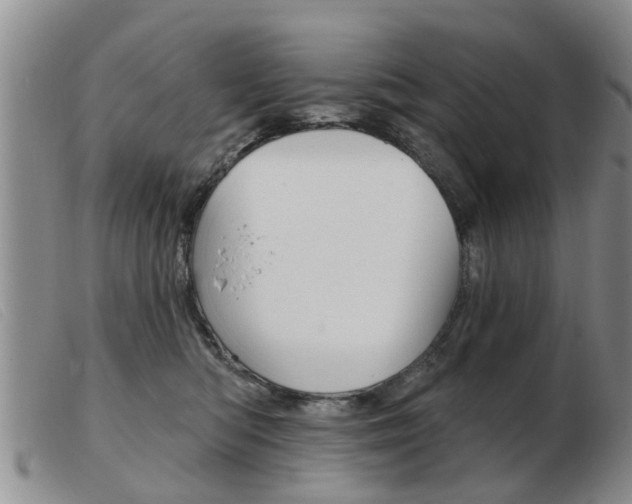 X0000103930422200809191129