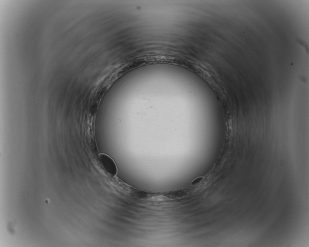 X0000103930423200809191129