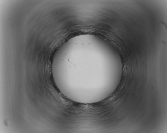 X0000103930424200809191129