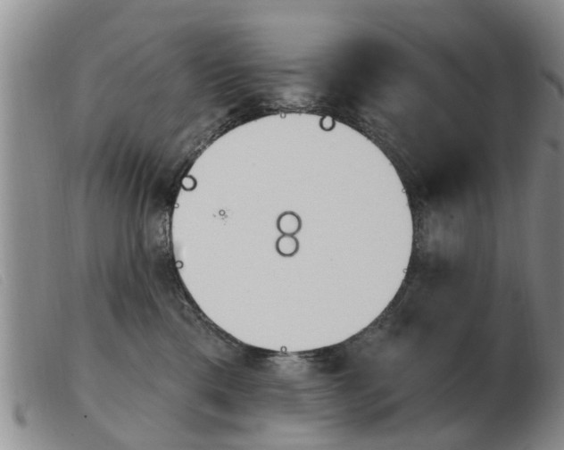X0000103930425200809191129