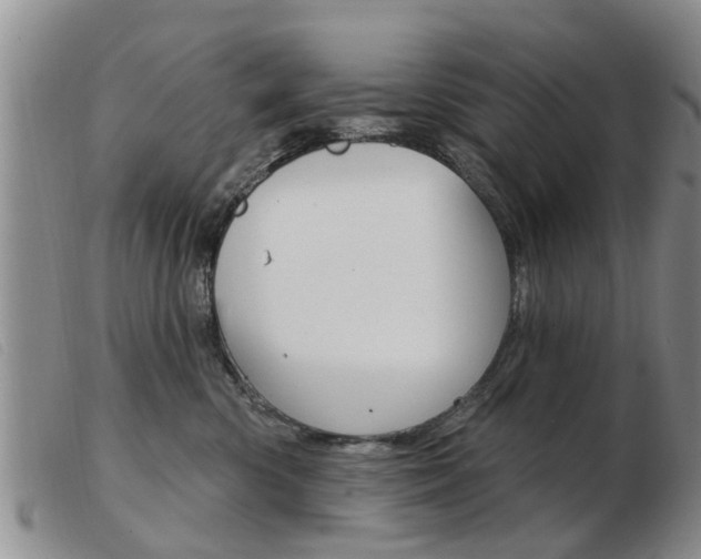X0000103930426200809191128