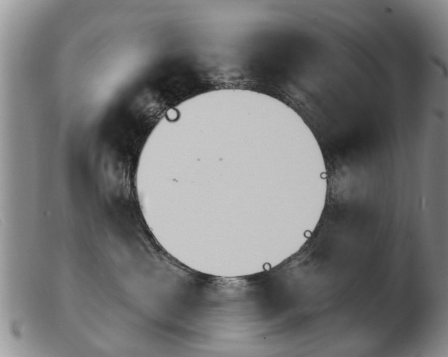 X0000103930429200809191128