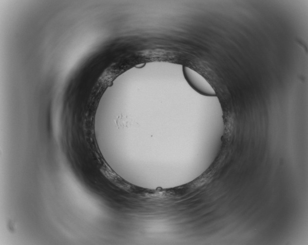 X0000103930430200809191128