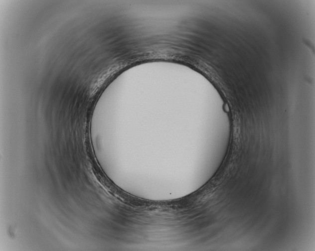 X0000103930434200809191128