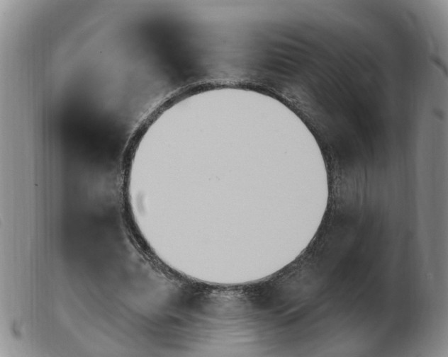 X0000103930440200809191128