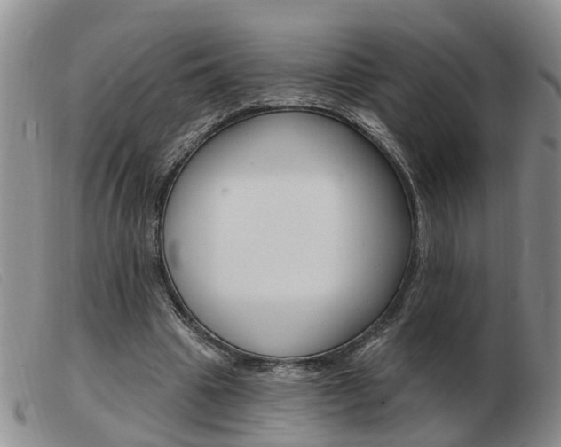 X0000103930441200809191128