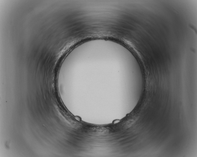 X0000103930443200809191128