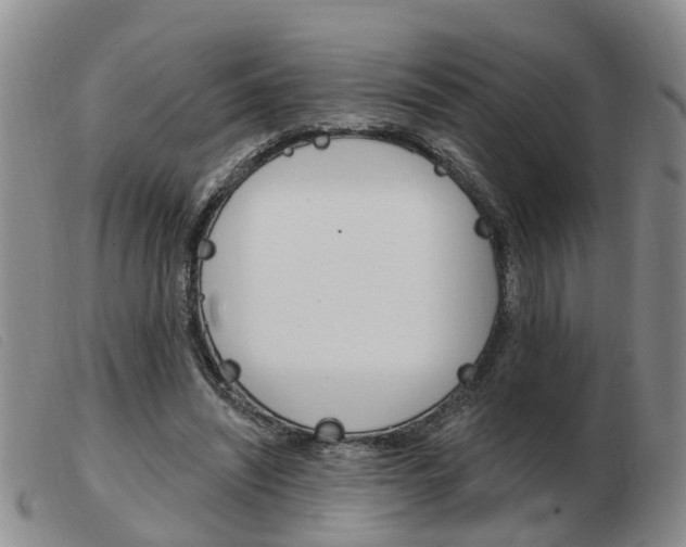 X0000103930444200809191128
