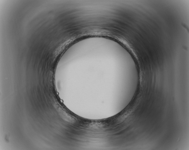 X0000103930445200809191128
