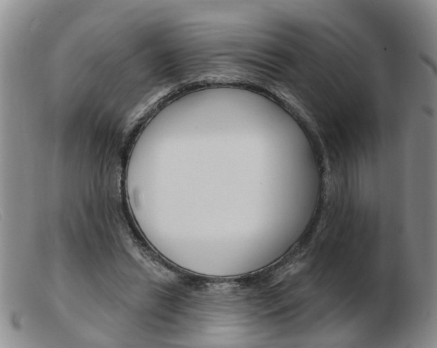X0000103930446200809191128