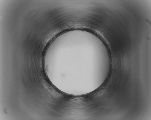 X0000103930447200809191128