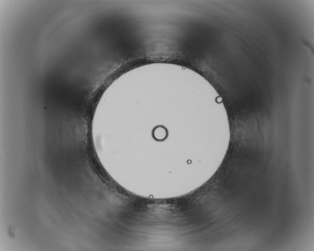 X0000103930448200809191128