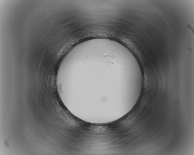 X0000103930449200809191128