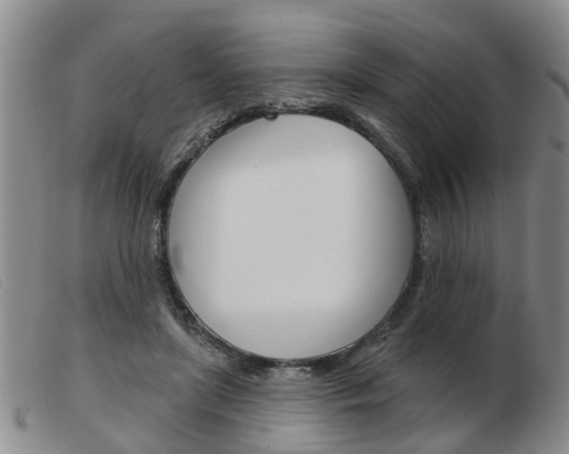 X0000103930451200809191128