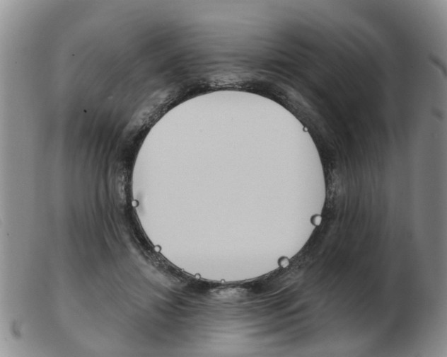 X0000103930452200809191128